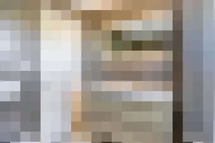 Saffier 26 Eindhoven thumbnail 24