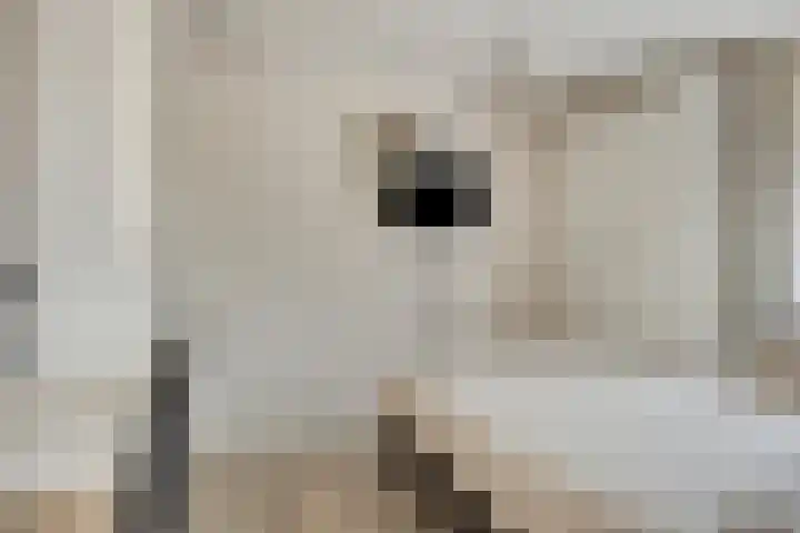 Saffier 26 Eindhoven thumbnail 26