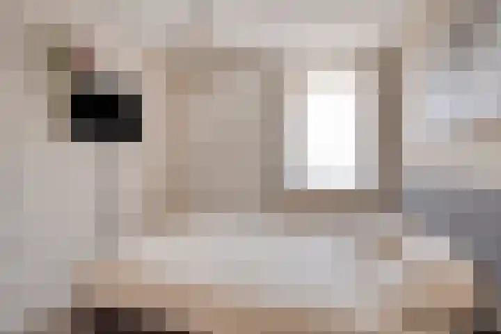 Saffier 26 Eindhoven thumbnail 27