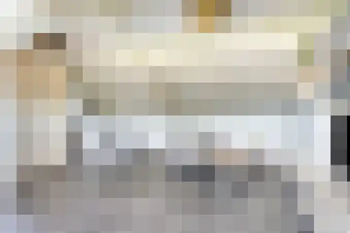 Saffier 26 Eindhoven thumbnail 30