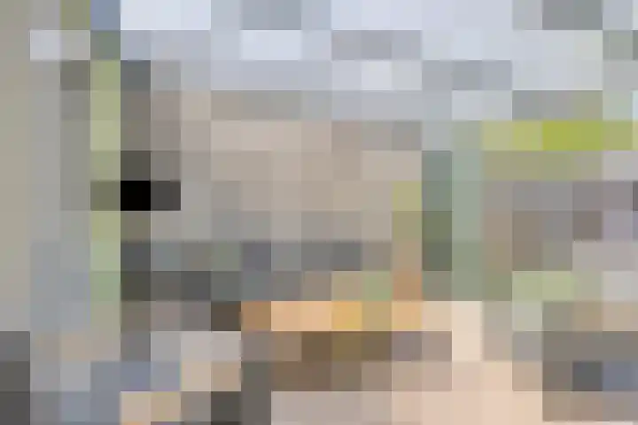 Saffier 26 Eindhoven thumbnail 32