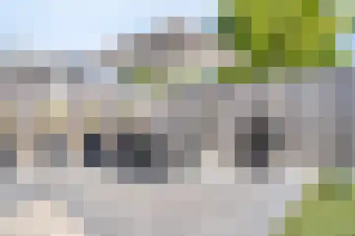 Saffier 26 Eindhoven thumbnail 36