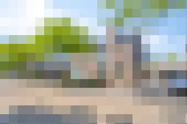 Saffier 26 Eindhoven thumbnail 37