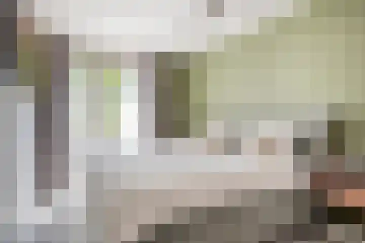 Saffier 26 Eindhoven thumbnail 4