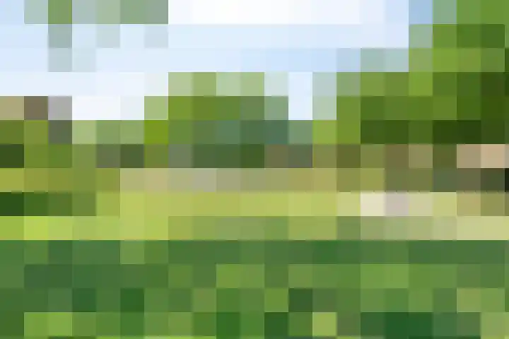 Saffier 26 Eindhoven thumbnail 40