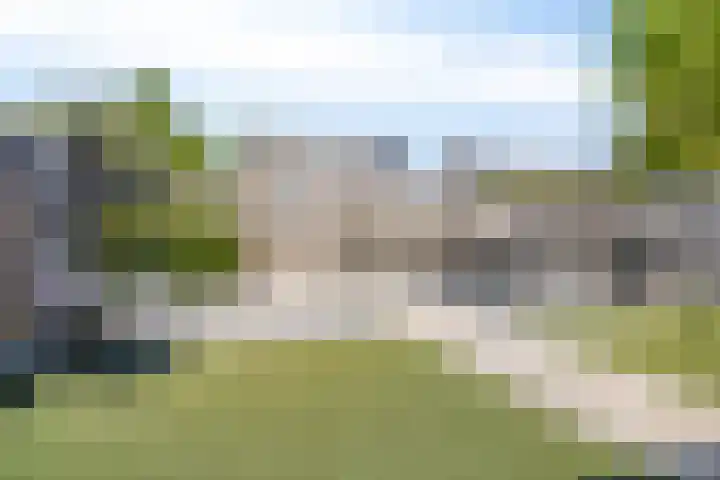 Saffier 26 Eindhoven thumbnail 6