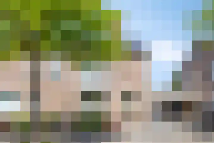 Saffier 26 Eindhoven thumbnail 7