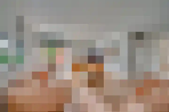 Saffier 26 Venlo thumbnail 13