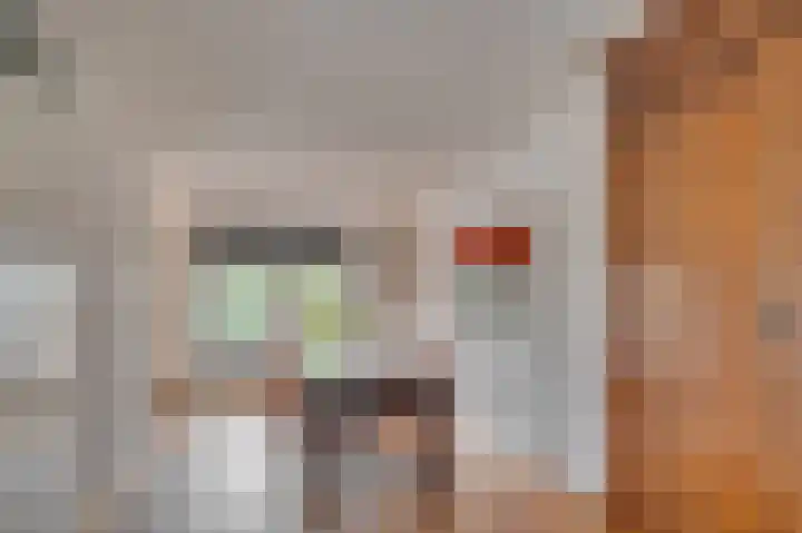 Saffier 26 Venlo thumbnail 14