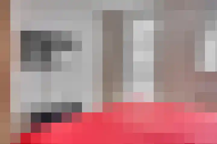 Saffier 26 Venlo thumbnail 25