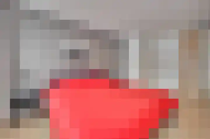 Saffier 26 Venlo thumbnail 26