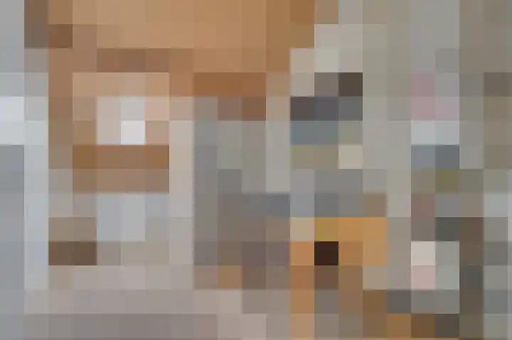 Saffier 26 Venlo thumbnail 39