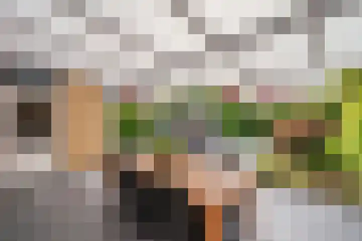 Saffier 26 Venlo thumbnail 44