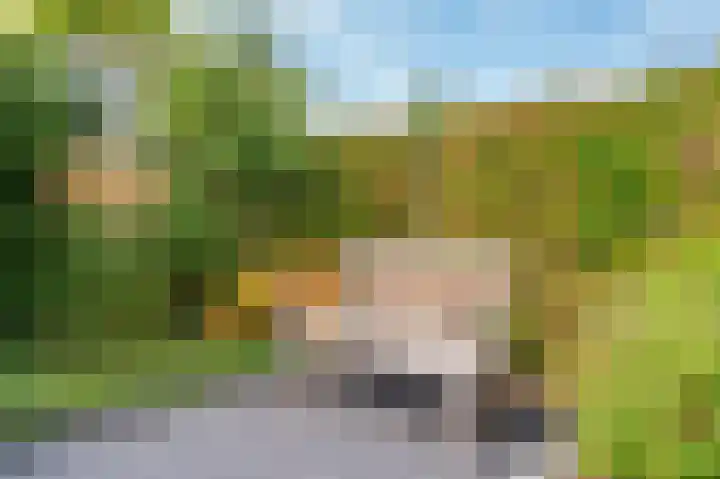 Saffier 26 Venlo thumbnail 48
