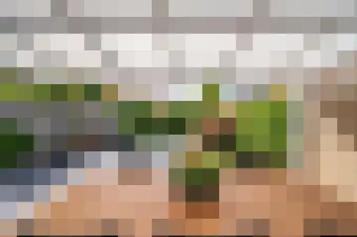 Saffier 26 Venlo thumbnail 5