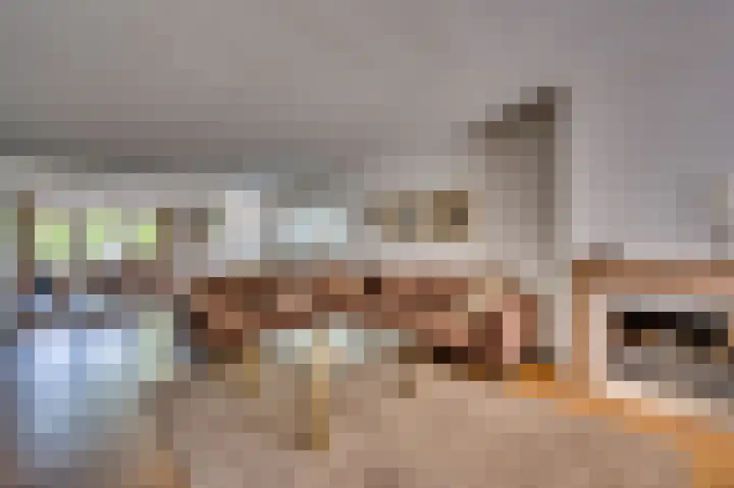 Saffier 29 Venlo thumbnail 8