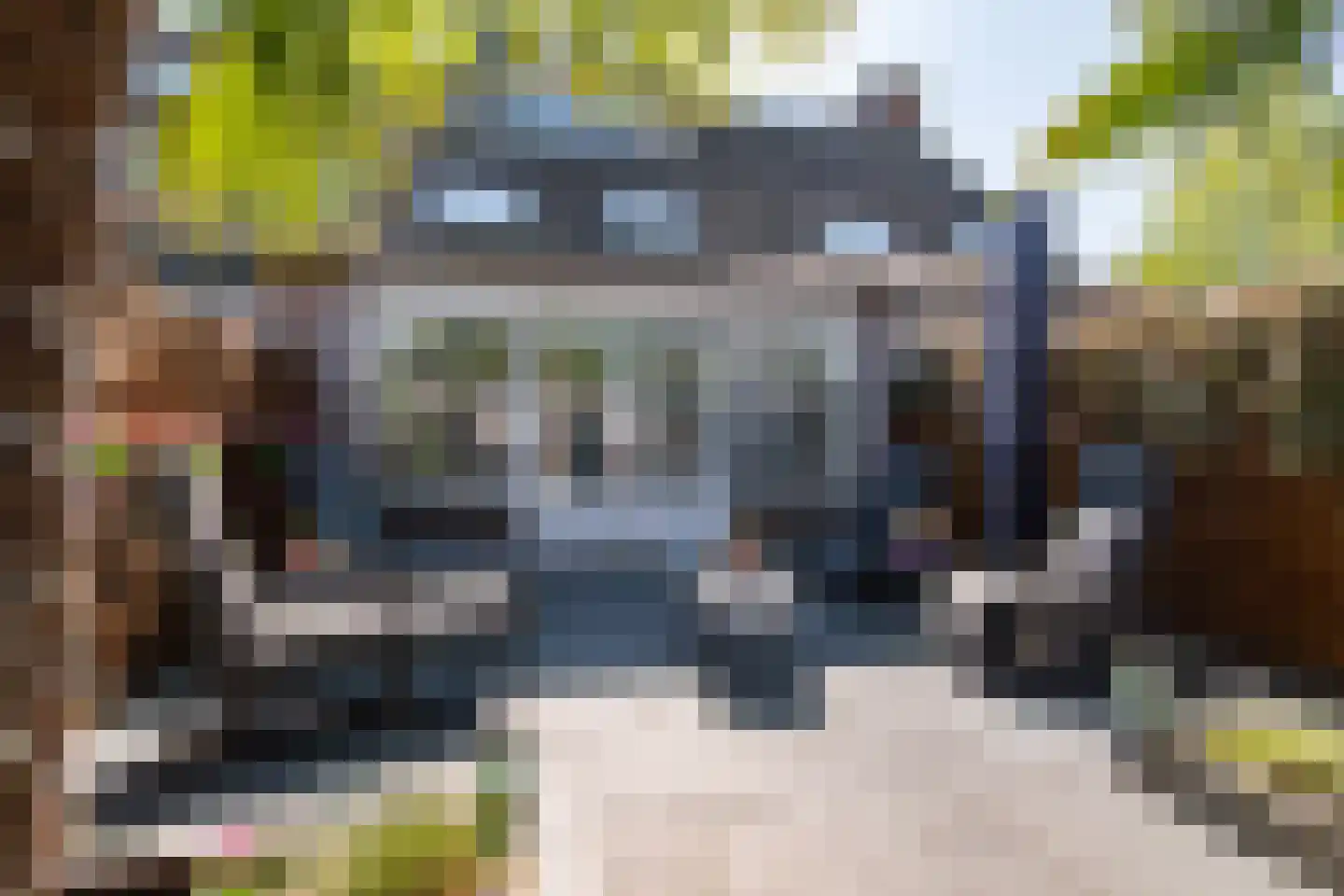 Saffier 29 Zoetermeer thumbnail 24
