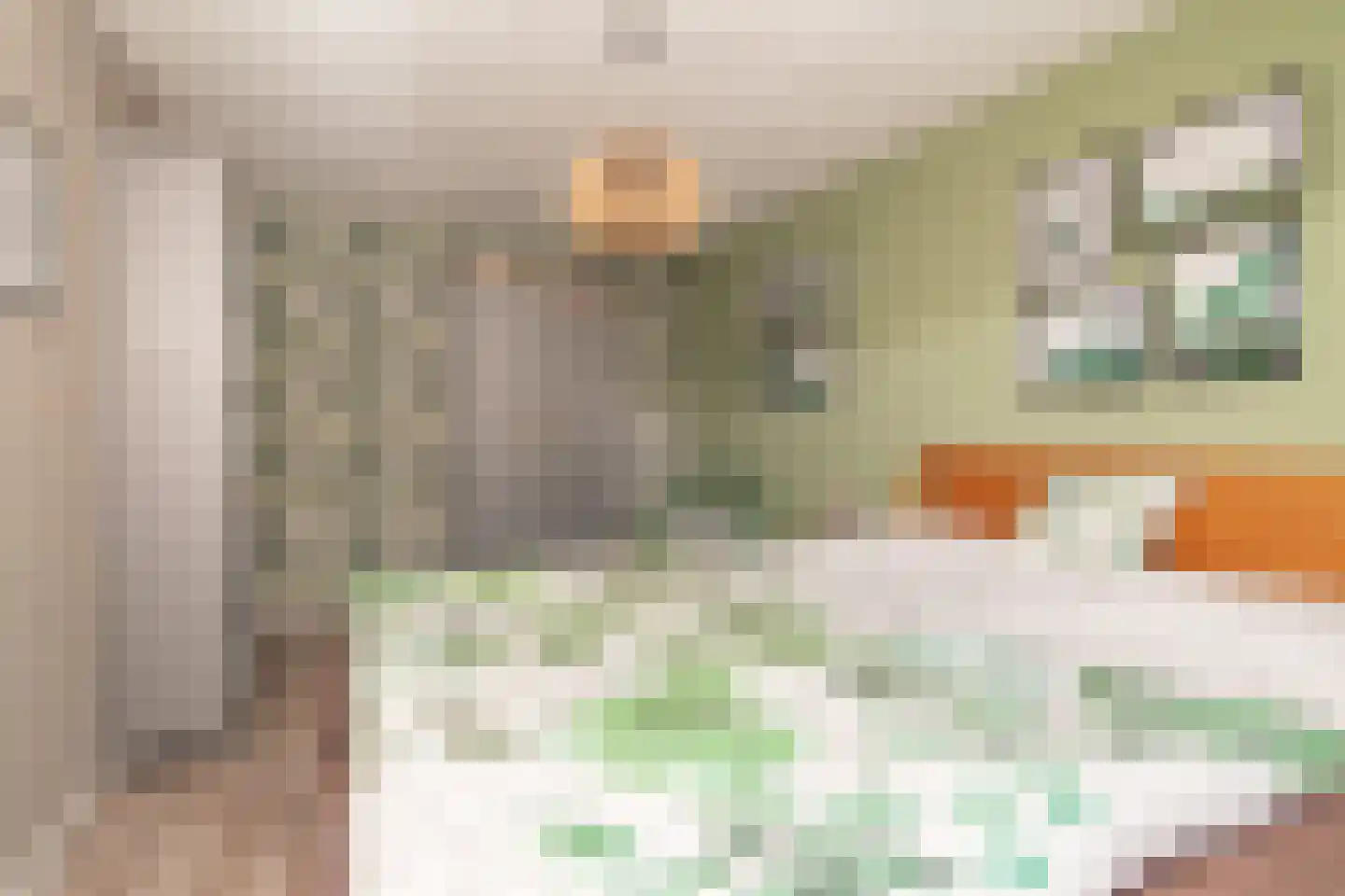 Saffier 29 Zoetermeer thumbnail 28