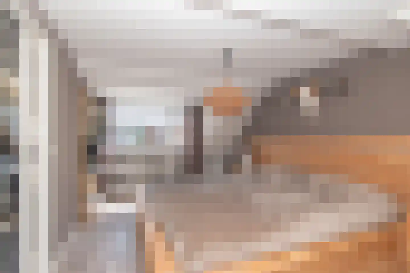 Saffier 29 Zoetermeer thumbnail 43