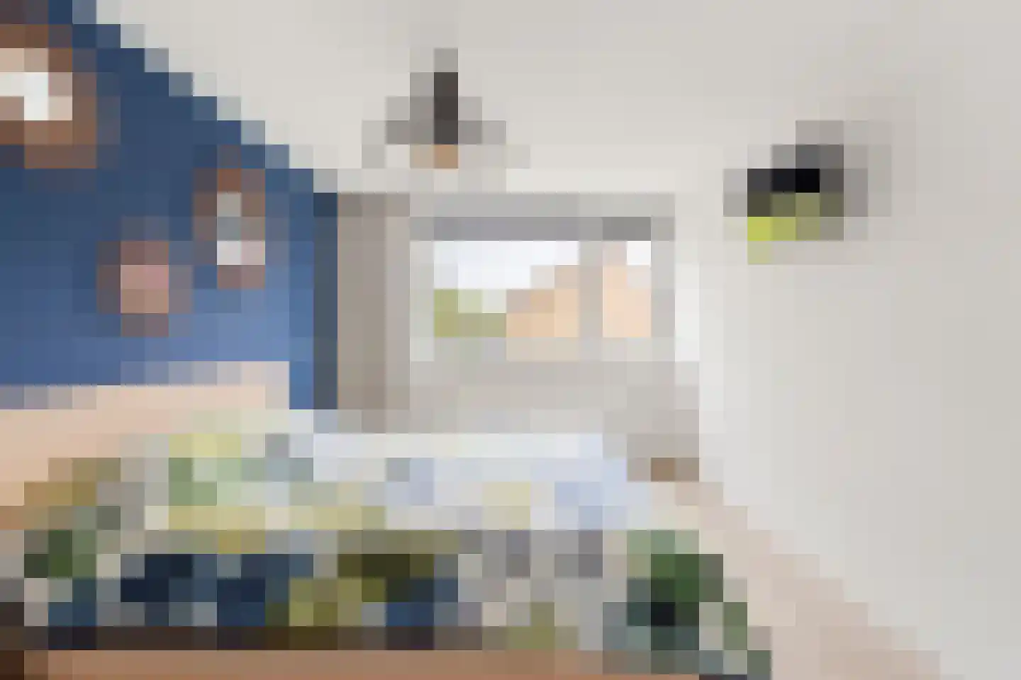 Saffier 3 Heerhugowaard thumbnail 13