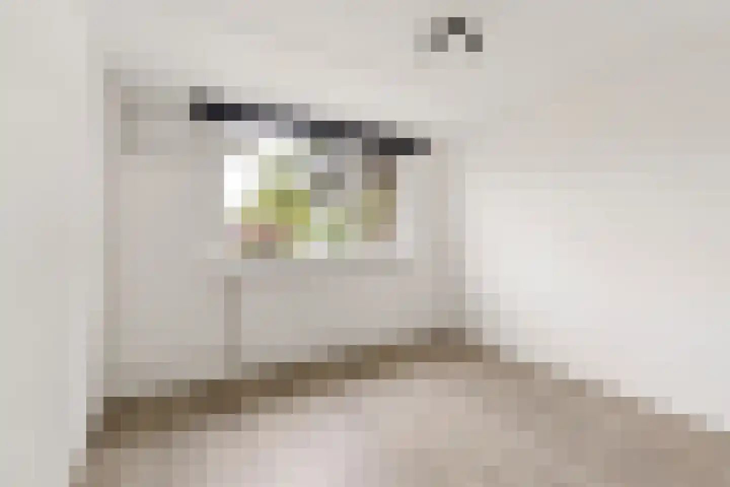 Saffier 3 Heerhugowaard thumbnail 15