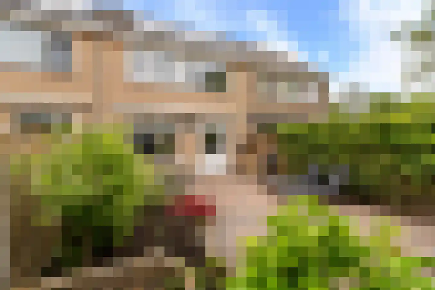Saffier 3 Heerhugowaard thumbnail 22