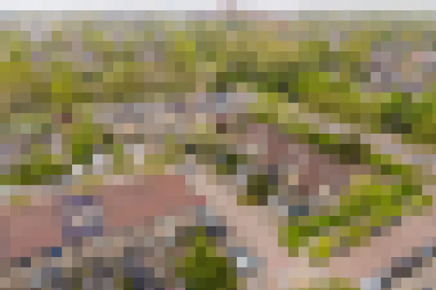 Saffier 3 Heerhugowaard thumbnail 25