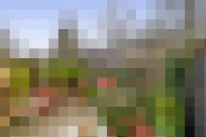 Saffier 3 's-Gravenzande thumbnail 18
