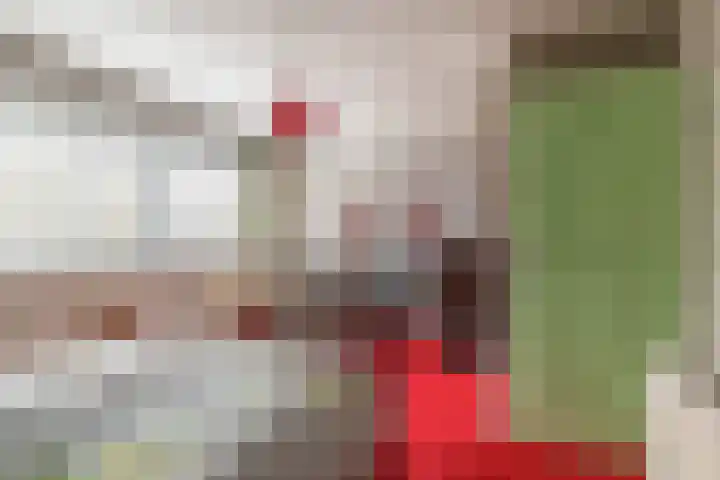 Saffier 3 's-Gravenzande thumbnail 22