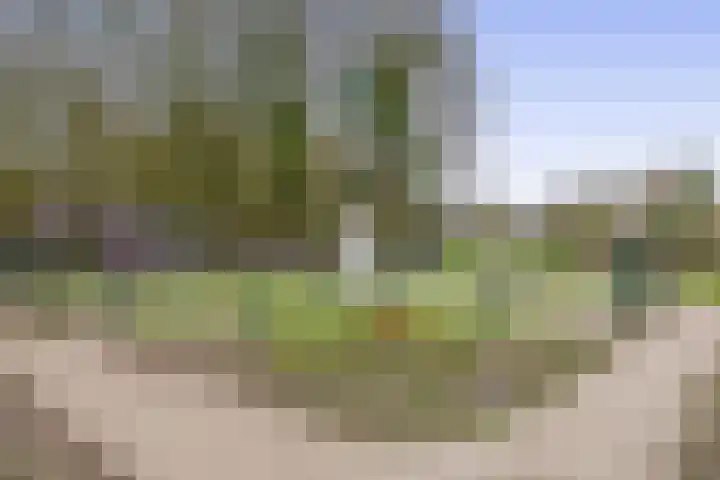 Saffier 3 's-Gravenzande thumbnail 44