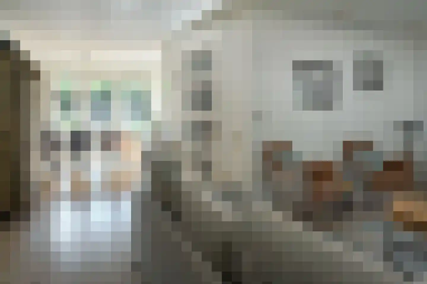 Saffier 30 Drachten thumbnail 14