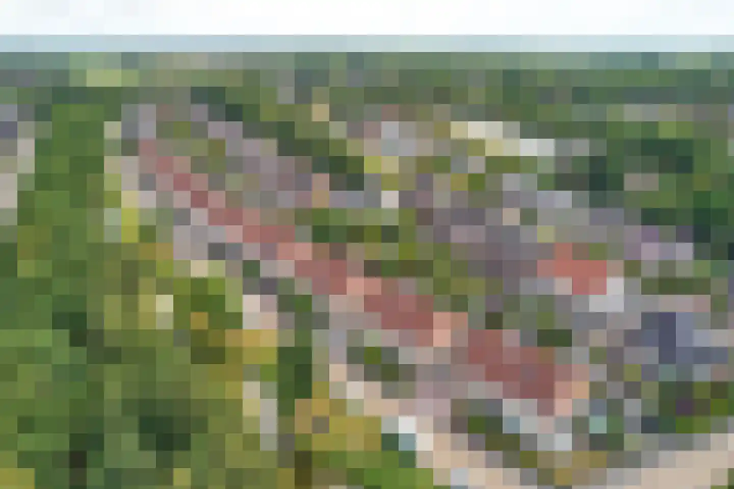 Saffier 30 Drachten thumbnail 49