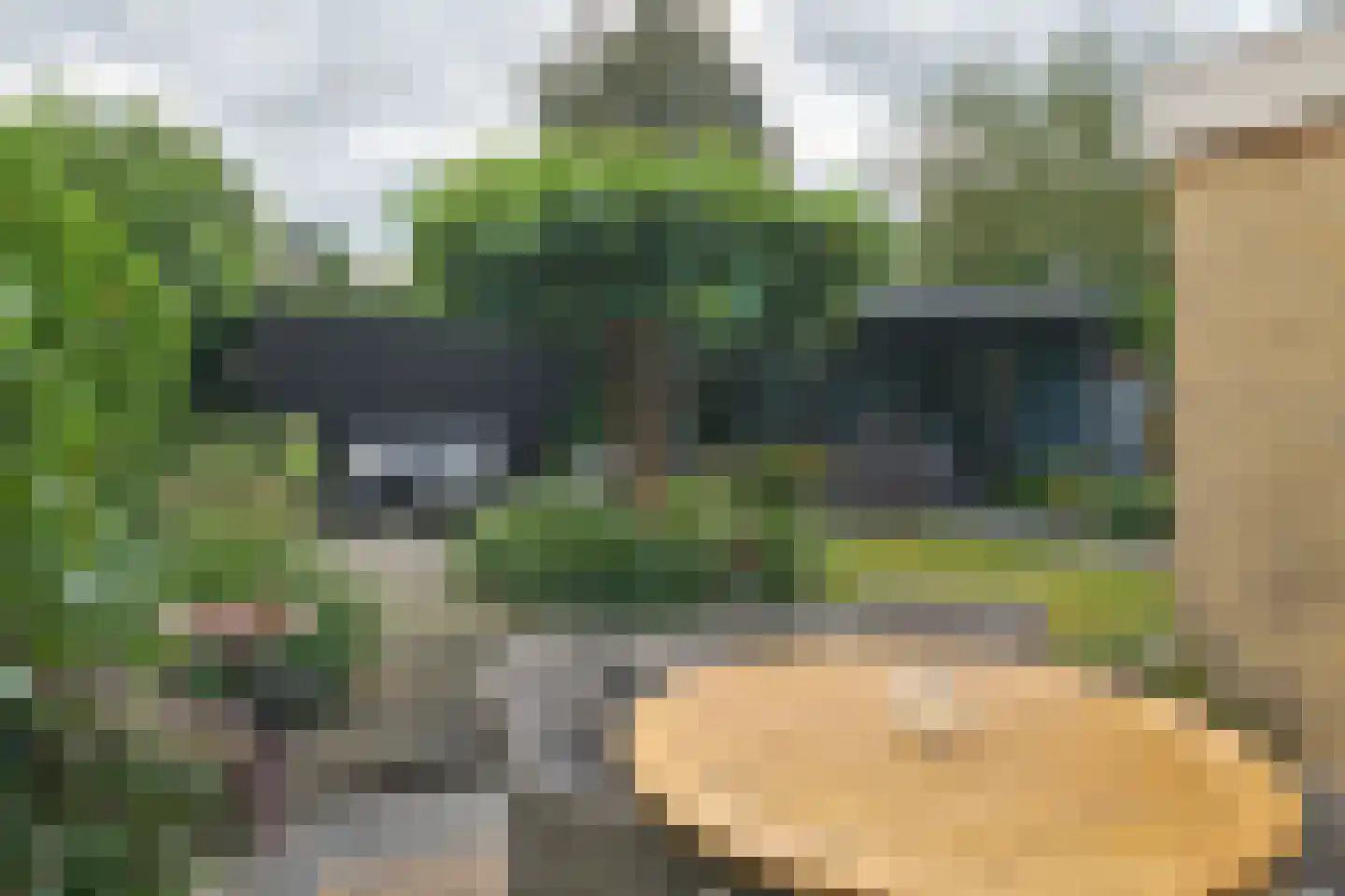 Saffier 30 Drachten thumbnail 53