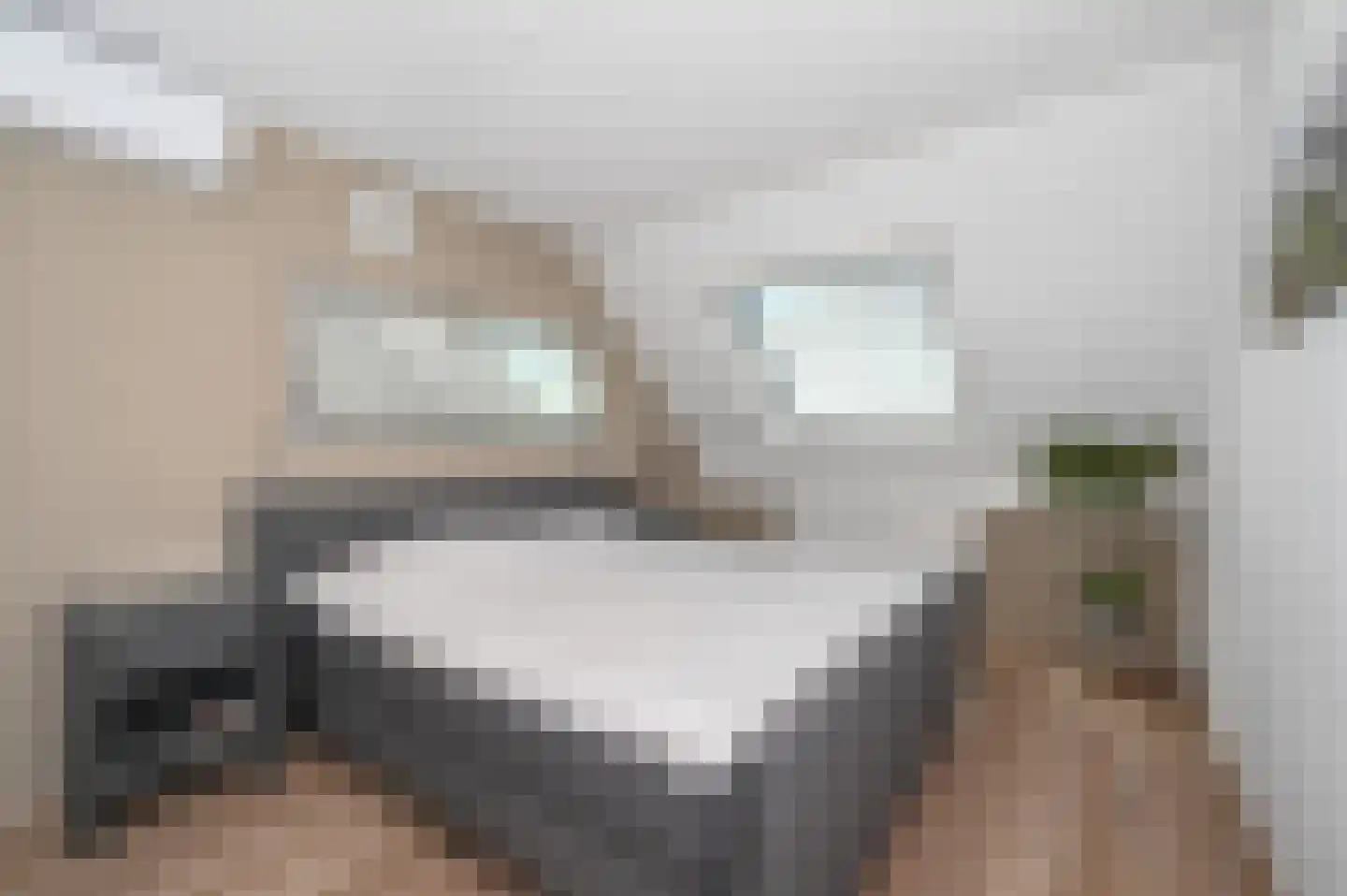 Saffier 31 Zoetermeer thumbnail 24
