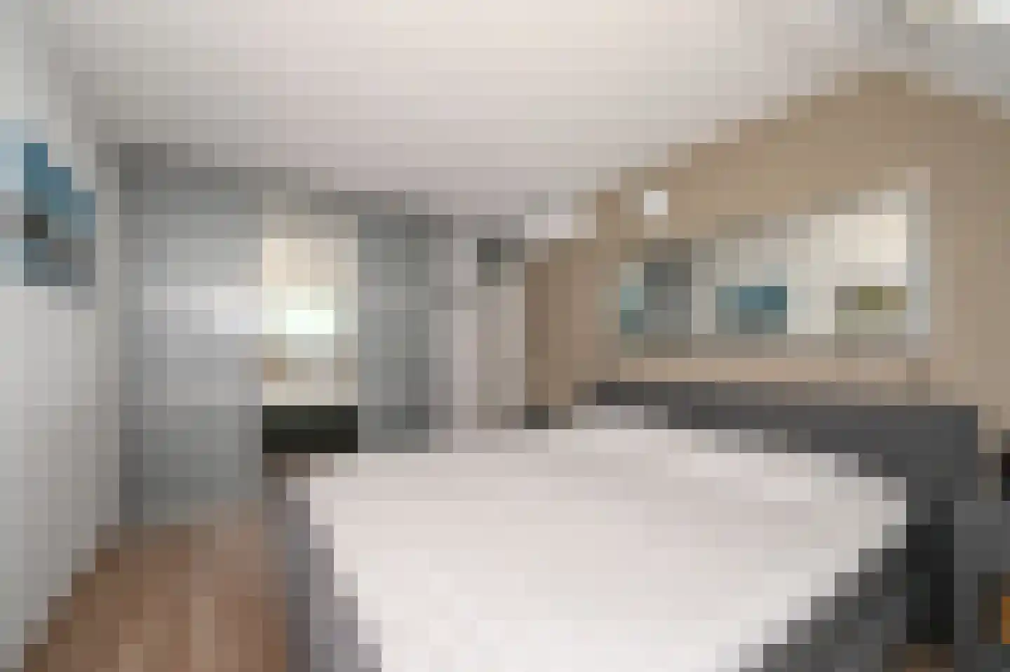 Saffier 31 Zoetermeer thumbnail 25