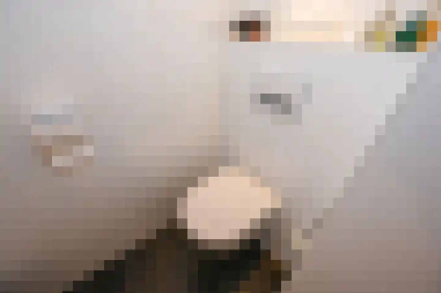 Saffier 31 Zoetermeer thumbnail 33