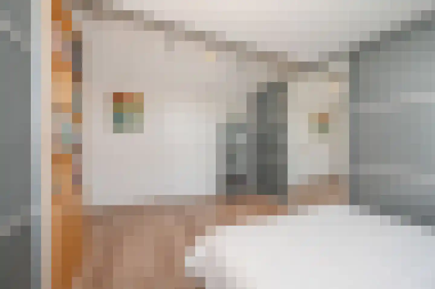 Saffier 31 Zoetermeer thumbnail 36