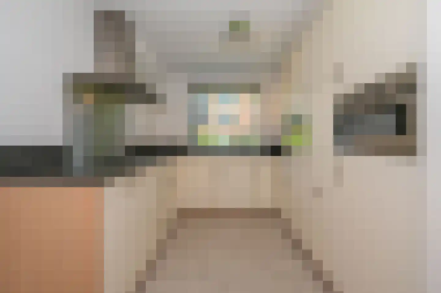 Saffier 31 Zoetermeer thumbnail 8