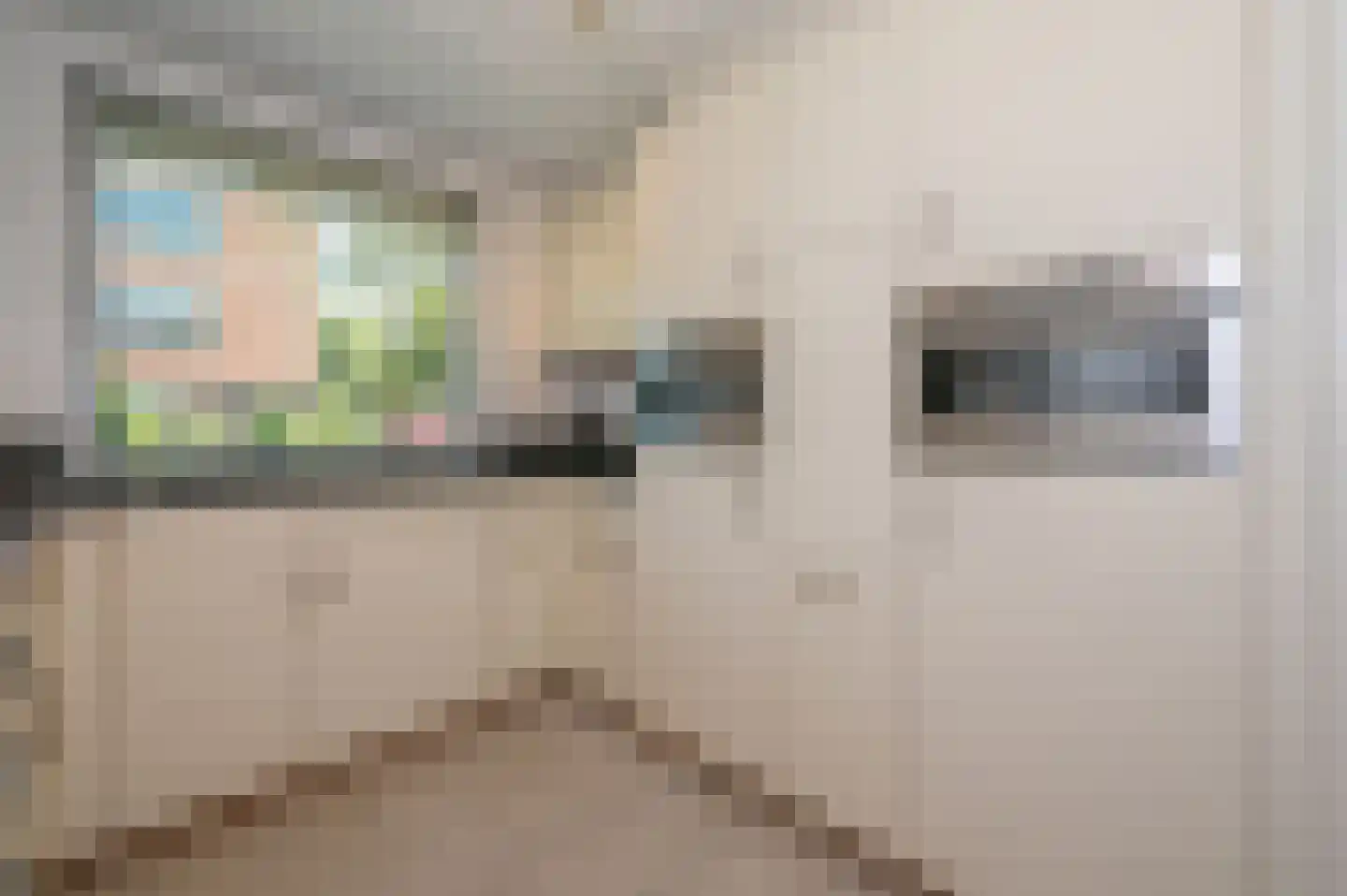 Saffier 31 Zoetermeer thumbnail 9