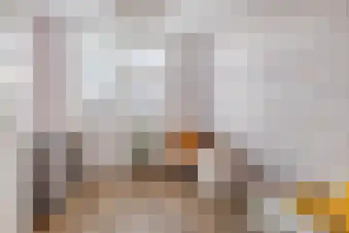 Saffier 33 Roelofarendsveen thumbnail 13