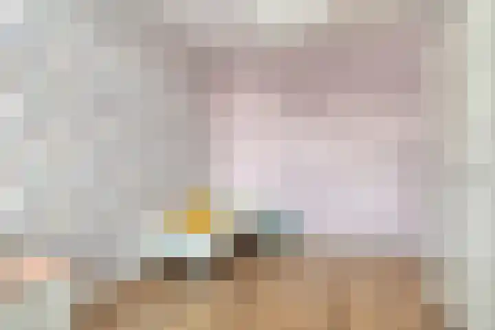 Saffier 33 Roelofarendsveen thumbnail 14
