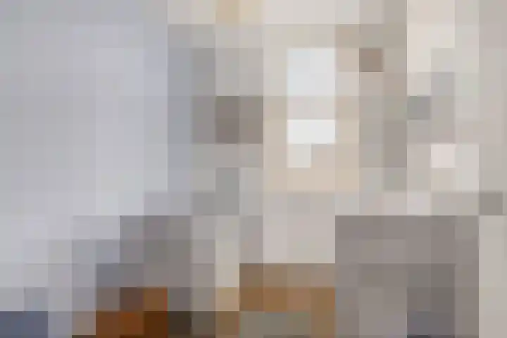 Saffier 33 Roelofarendsveen thumbnail 15