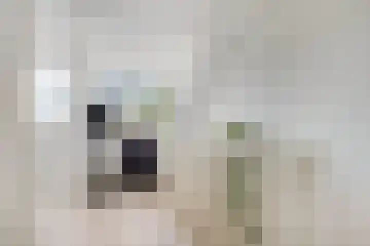 Saffier 33 Roelofarendsveen thumbnail 18