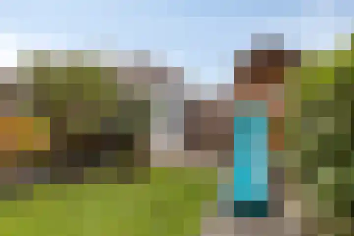 Saffier 33 Roelofarendsveen thumbnail 22