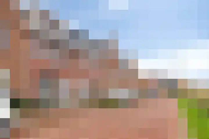 Saffier 33 Roelofarendsveen thumbnail 24