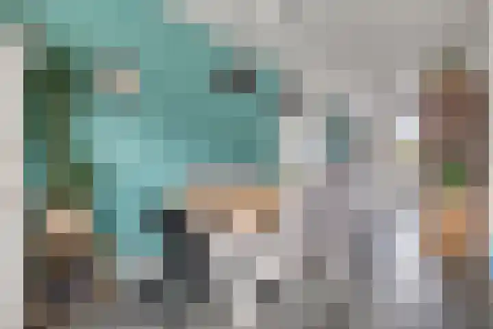 Saffier 33 Roelofarendsveen thumbnail 6