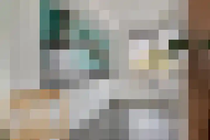 Saffier 33 Roelofarendsveen thumbnail 7