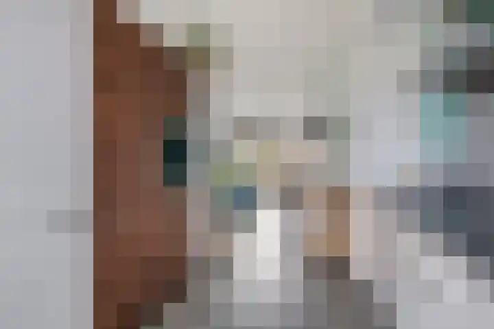 Saffier 33 Roelofarendsveen thumbnail 9