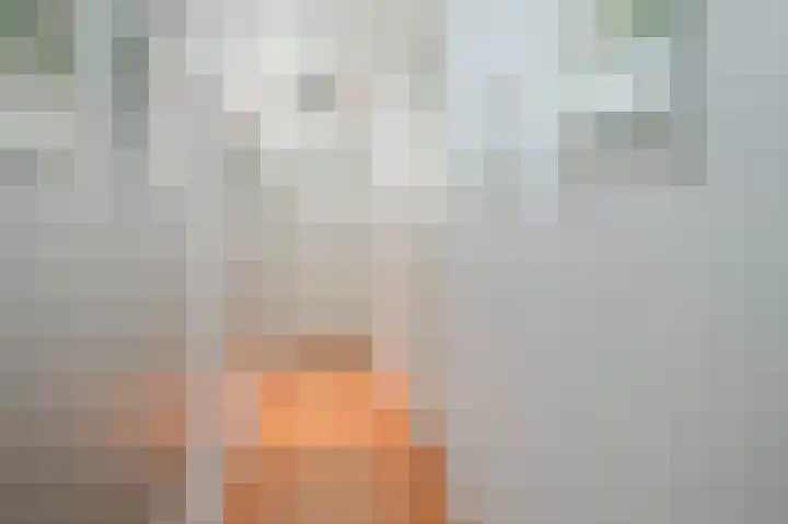 Saffier 34 Anna Paulowna thumbnail 16