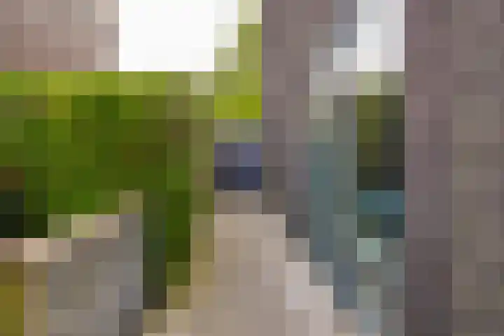 Saffier 34 Anna Paulowna thumbnail 33